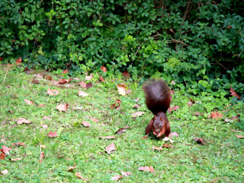 Wilhelma Stuttgart Zoo – Foto 119