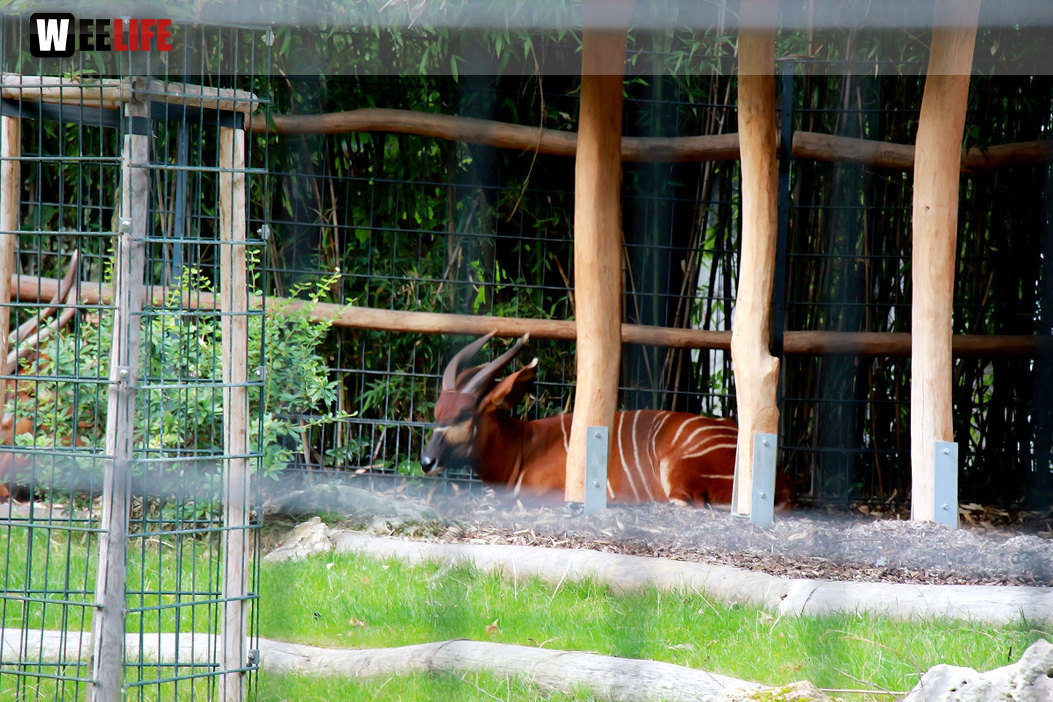 Wilhelma Stuttgart Zoo