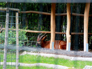 Foto 205513 im Album