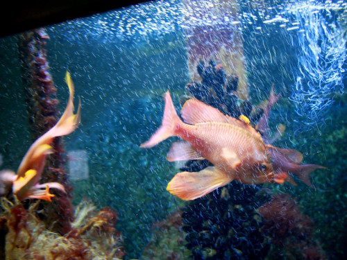 Wilhelma Stuttgart Zoo – Foto 2