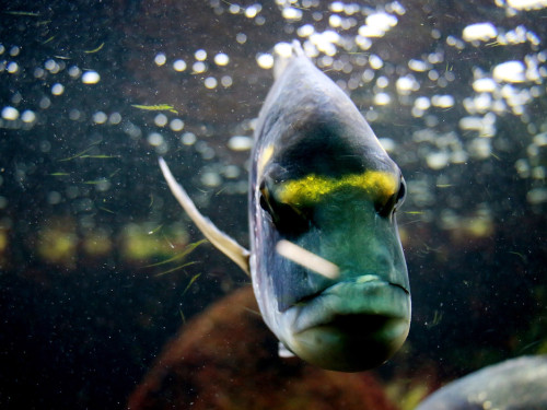Wilhelma Stuttgart Zoo – Foto 7
