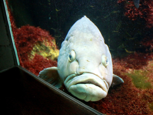 Wilhelma Stuttgart Zoo – Foto 9