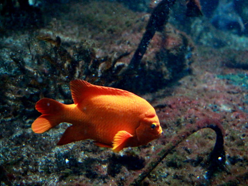 Wilhelma Stuttgart Zoo – Foto 13