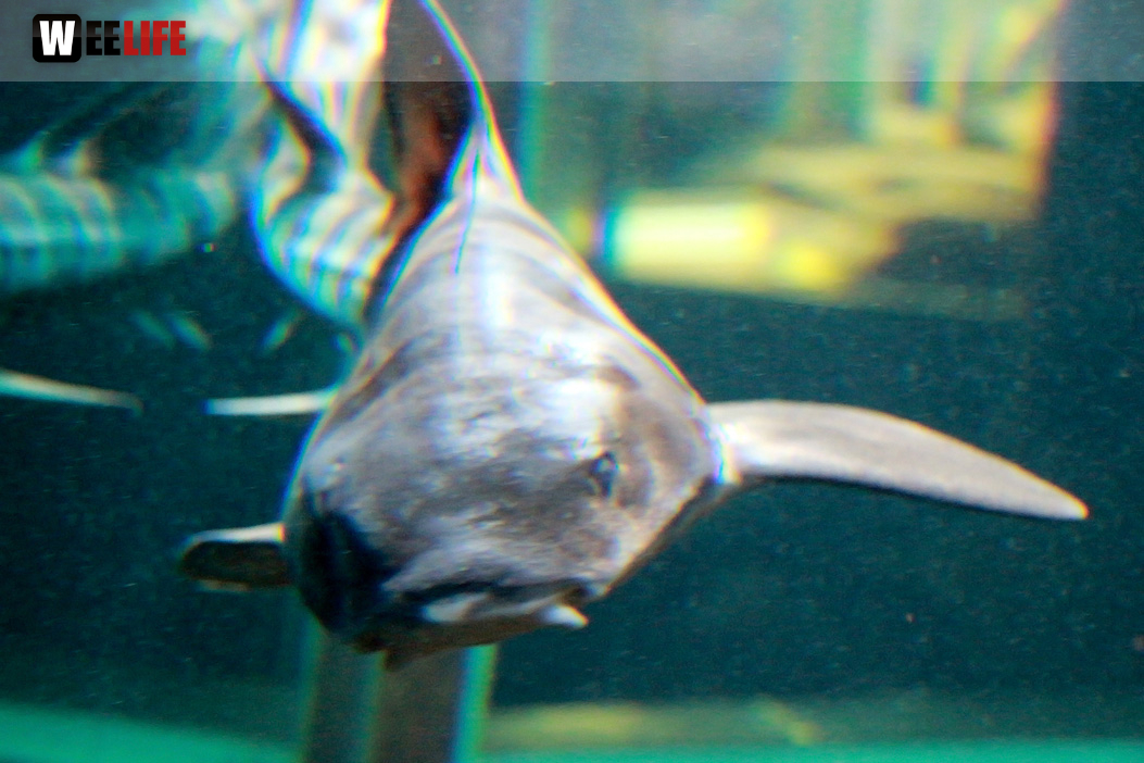 Wilhelma Stuttgart Zoo