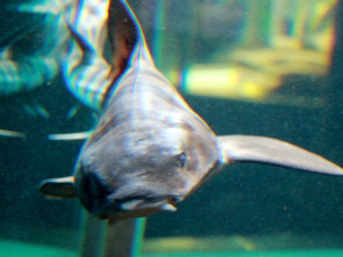 Wilhelma Stuttgart Zoo – Foto 14