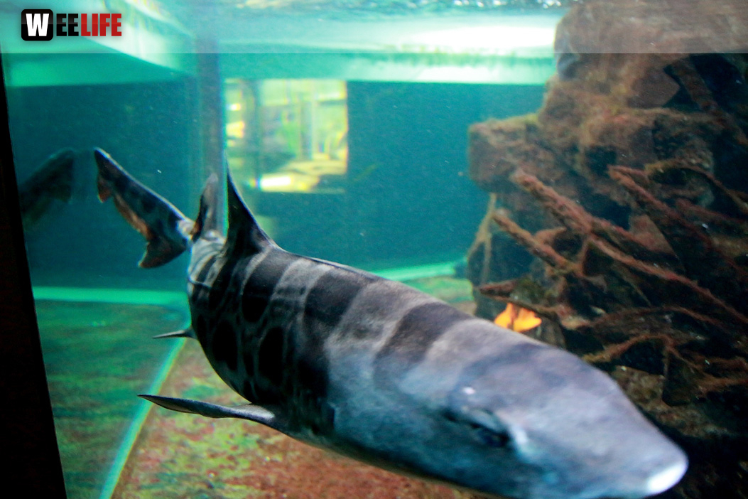 Wilhelma Stuttgart Zoo