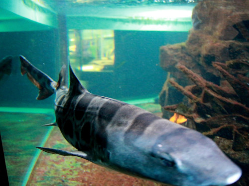 Wilhelma Stuttgart Zoo – Foto 16
