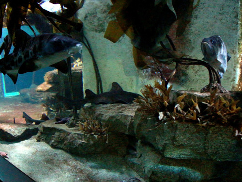 Wilhelma Stuttgart Zoo – Foto 18