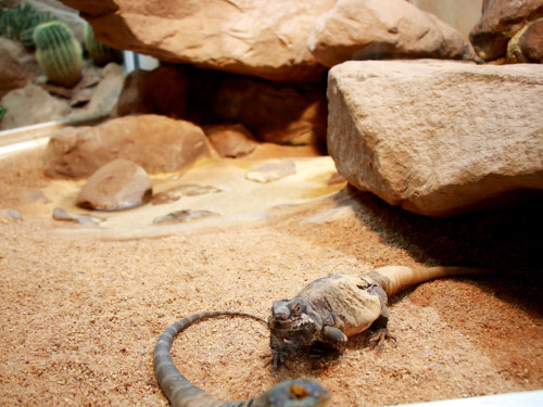 Wilhelma Stuttgart Zoo – Foto 21