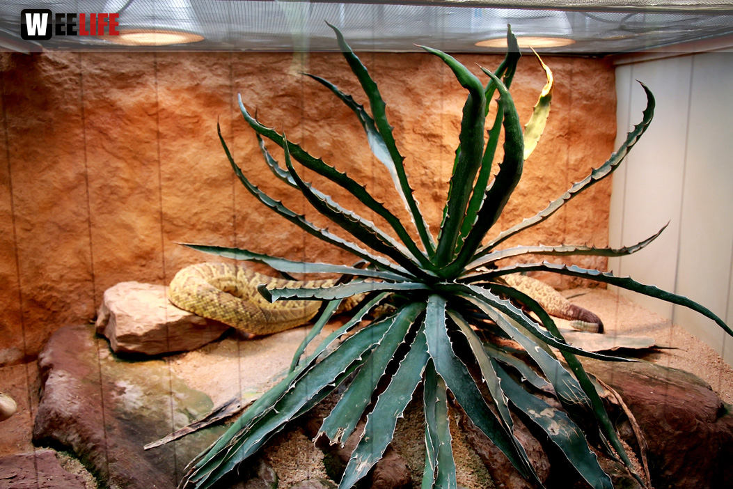 Wilhelma Stuttgart Zoo