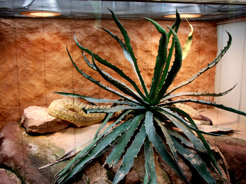 Wilhelma Stuttgart Zoo – Foto 25