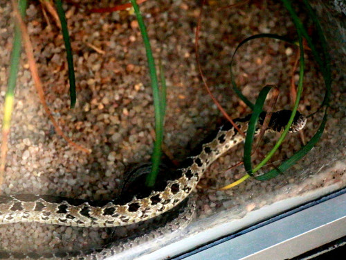 Wilhelma Stuttgart Zoo – Foto 29