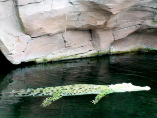Foto 205682 im Album