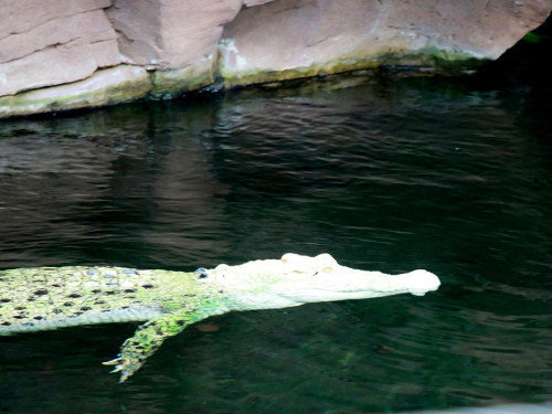 Wilhelma Stuttgart Zoo – Foto 36