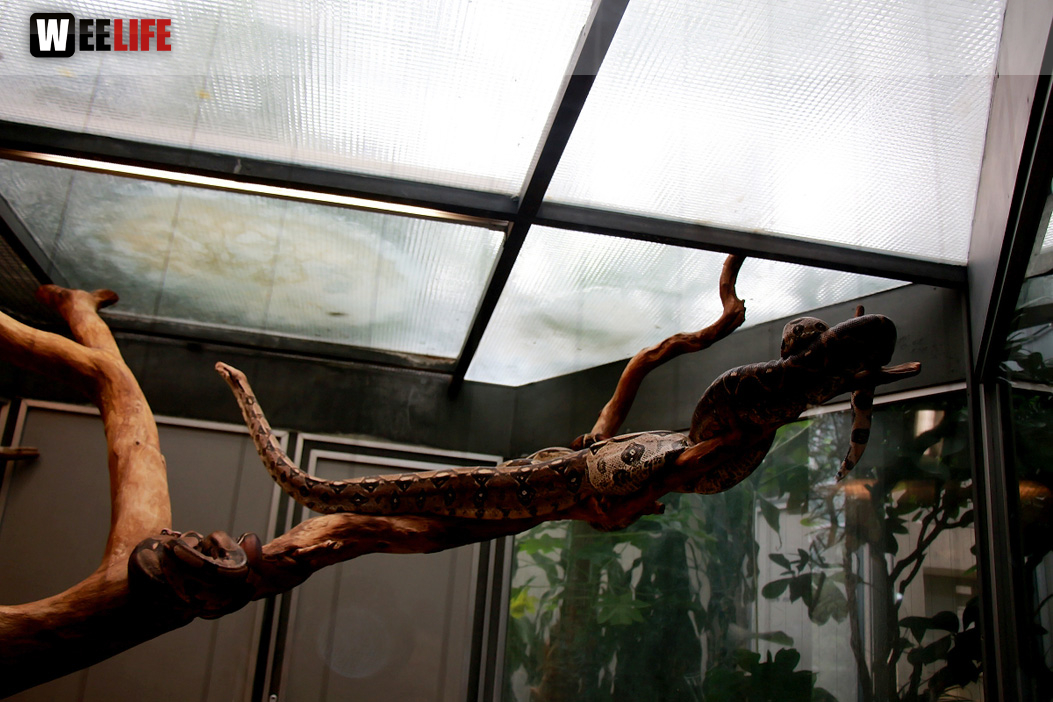 Wilhelma Stuttgart Zoo