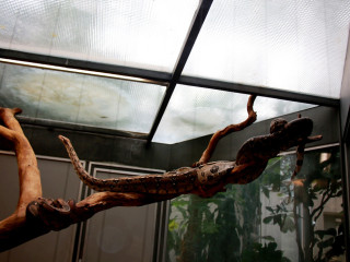 Foto 205685 im Album