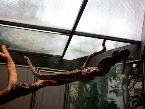 Wilhelma Stuttgart Zoo – Foto 38
