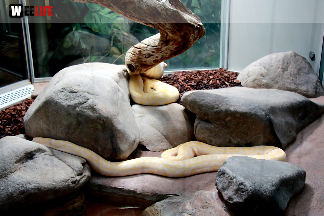 Wilhelma Stuttgart Zoo