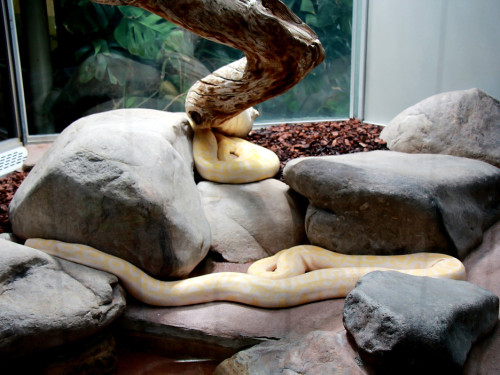 Wilhelma Stuttgart Zoo – Foto 42
