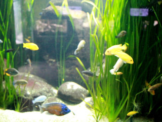 Foto 205698 im Album