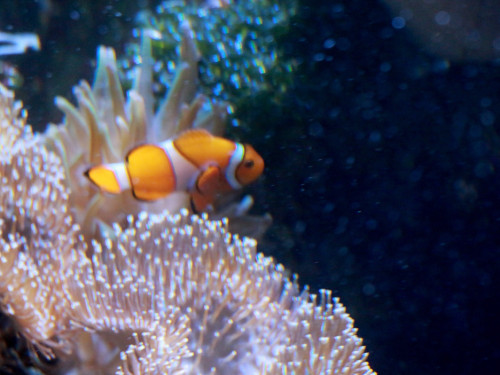 Wilhelma Stuttgart Zoo – Foto 60