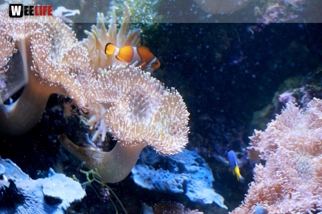 Wilhelma Stuttgart Zoo