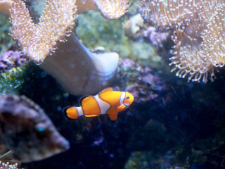 Foto 205711 im Album