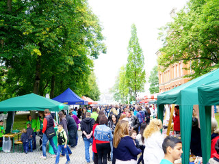 Foto 206032 im Album