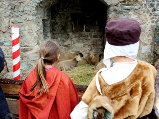 Foto 206094 im Album