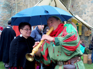 Foto 206099 im Album