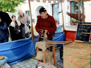 Vorschau des nächsten Fotos