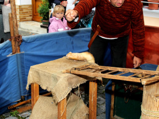 Foto 206110 im Album