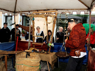 Foto 206113 im Album