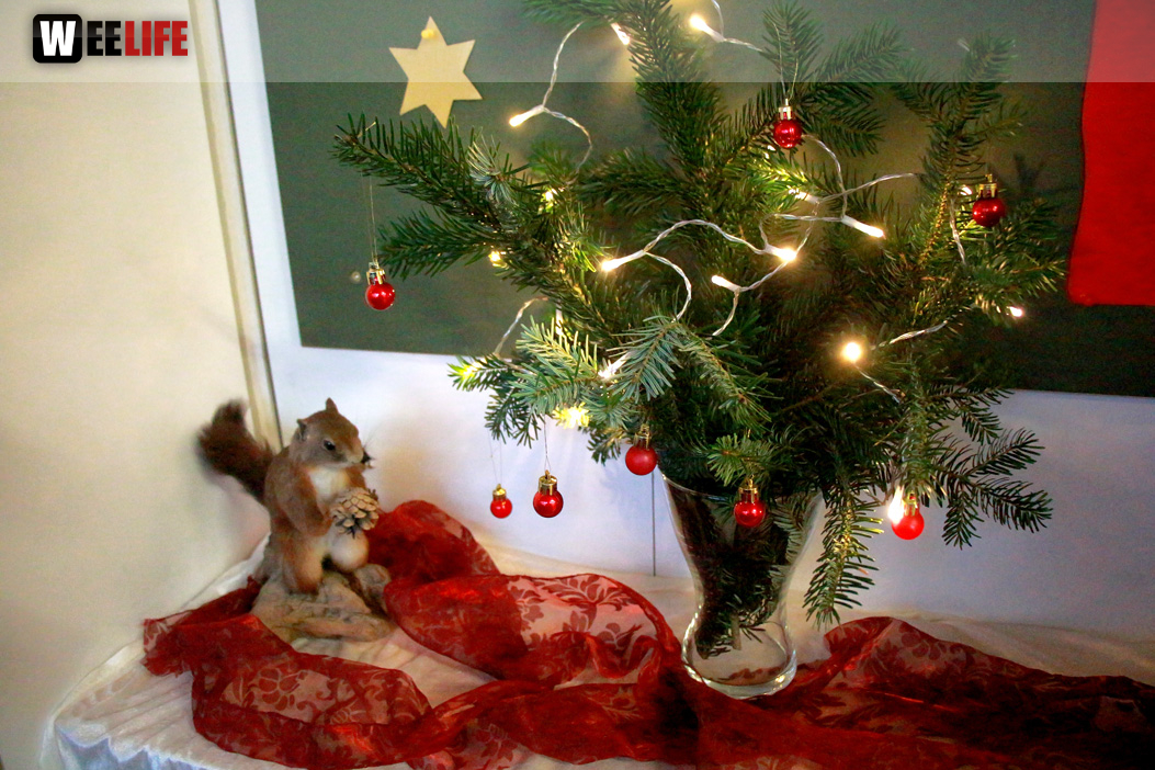 Adventsdorf TPZ