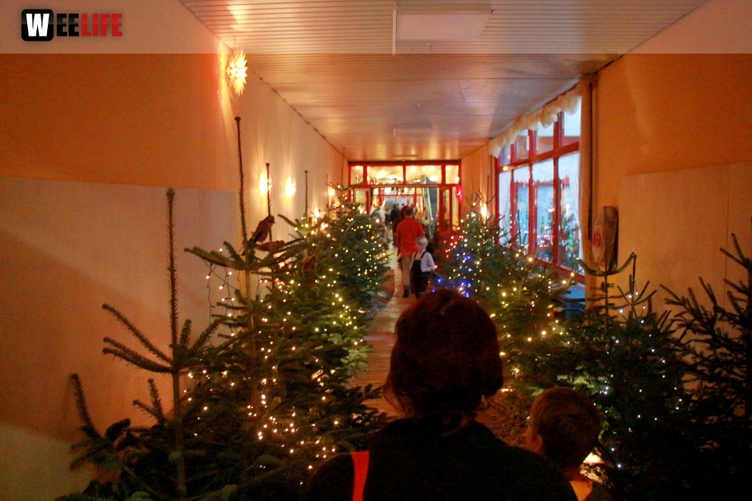 Adventsdorf TPZ