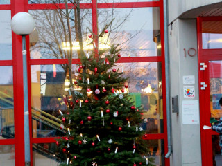 Foto 206688 im Album