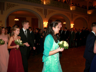 Foto 206841 im Album
