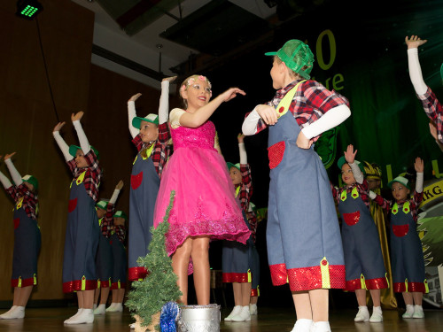 60 Jahre Narhalla Hof Jubiläumsprunksitzung Teil 1 – Foto 171
