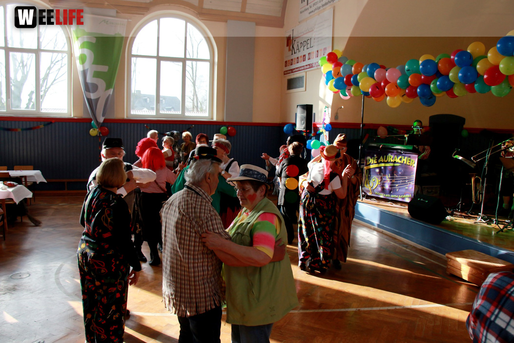 VDK Kreisverband Hof Fasching 27.1.2018