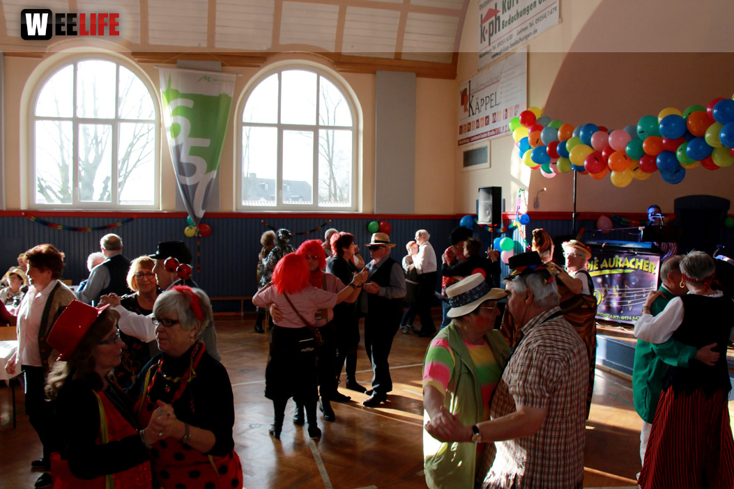 VDK Kreisverband Hof Fasching 27.1.2018