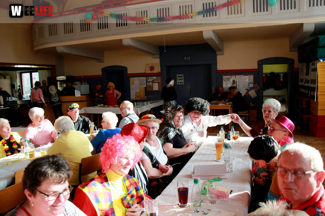 VDK Kreisverband Hof Fasching 27.1.2018