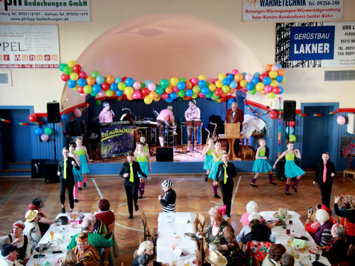 VDK Kreisverband Hof Fasching 27.1.2018 – Foto 34