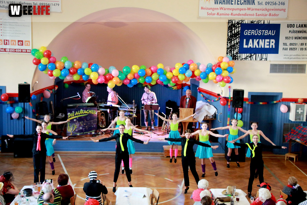 VDK Kreisverband Hof Fasching 27.1.2018