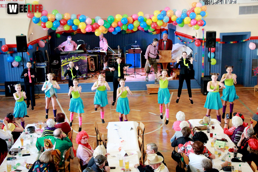 VDK Kreisverband Hof Fasching 27.1.2018