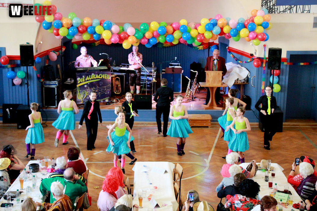 VDK Kreisverband Hof Fasching 27.1.2018