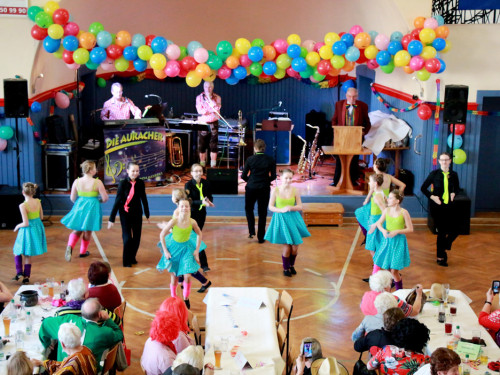 VDK Kreisverband Hof Fasching 27.1.2018 – Foto 48
