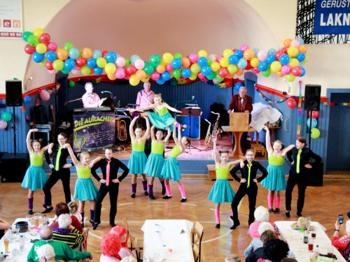 VDK Kreisverband Hof Fasching 27.1.2018 – Foto 51