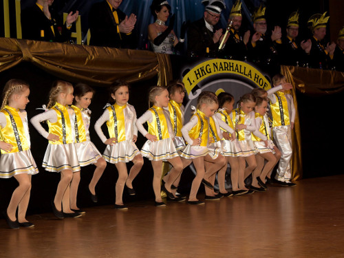 60 Jahre Narhalla Hof 2. Jubiläumsprunksitzung – Foto 8
