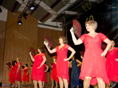 60 Jahre Narhalla Hof 2. Jubiläumsprunksitzung – Foto 83