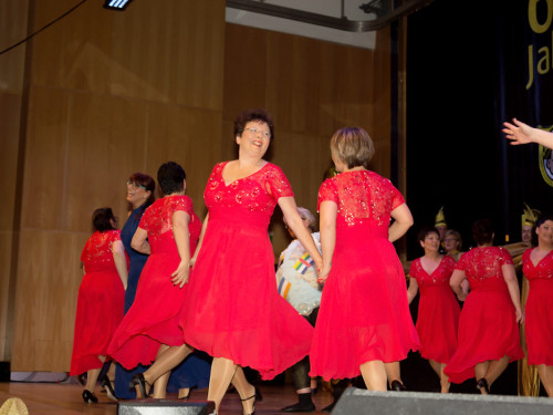 60 Jahre Narhalla Hof 2. Jubiläumsprunksitzung – Foto 87